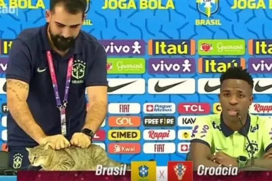 La maldición del gato qatarí continúa persiguiendo a Brasil