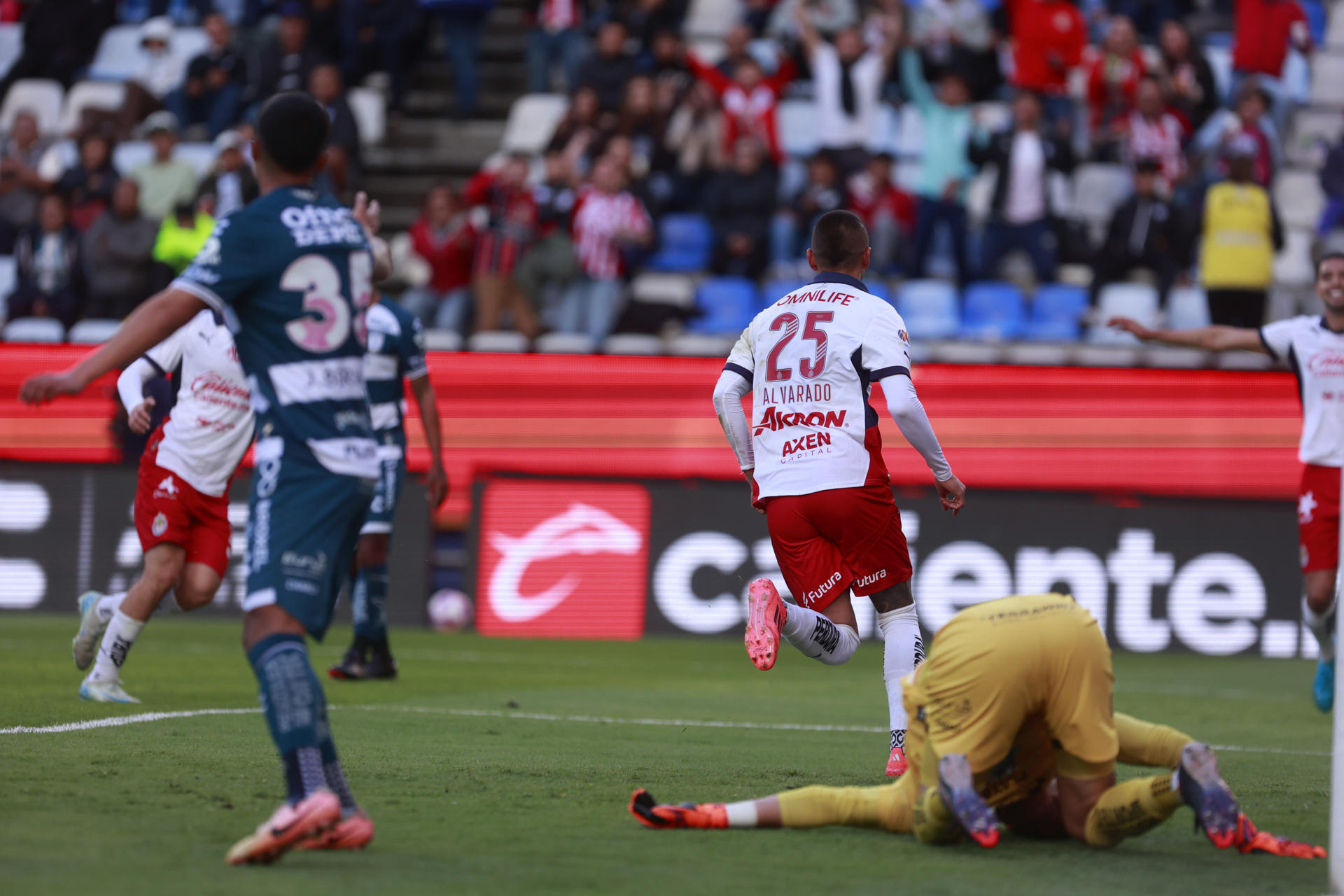Chivas de Guadalajara ganan su primer partido sin el argentino Gago Roberto Alvarado (c) de Guadalajara celebra un gol en el partido de la jornada 12 del torneo Apertura 2024 del fútbol mexicano. EFE/ David Martínez Pelcastre