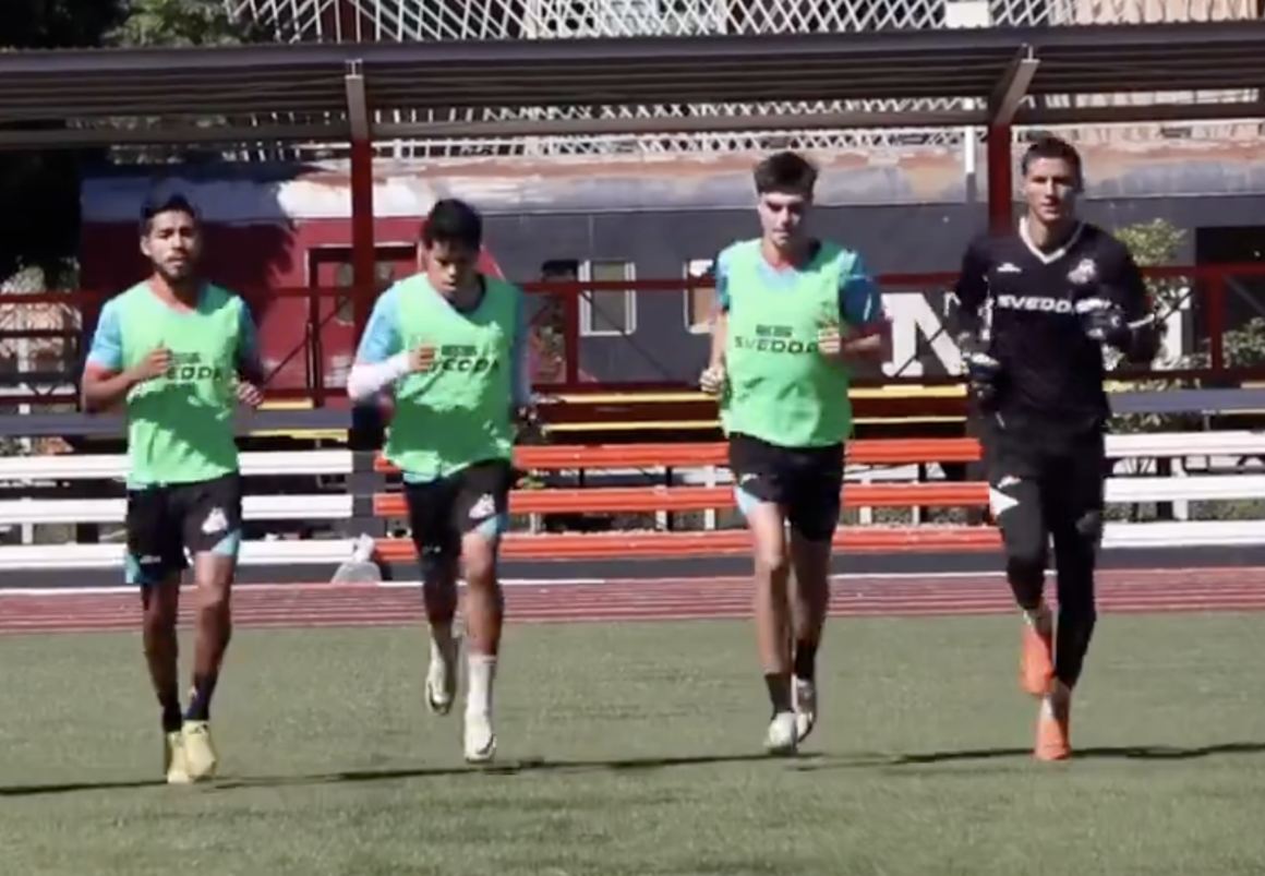 Alebrijes de la Liga Expansión de México