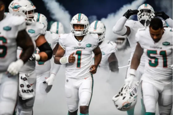 Mami Dolphins