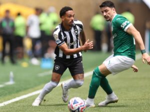 Palmeiras 0-0 Botafogo EN VIVO