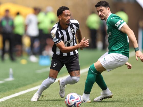 Palmeiras 0-0 Botafogo EN VIVO
