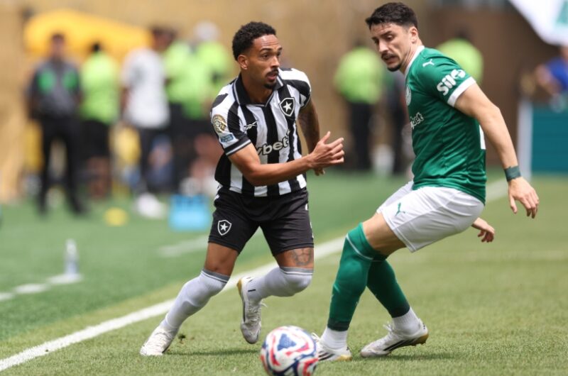 Palmeiras 0-0 Botafogo EN VIVO