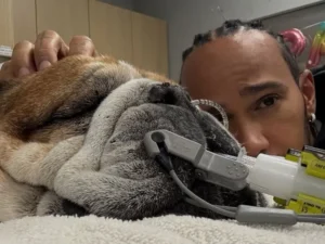 Hamilton llora la despedida de su Roscoe, su compañero de la F1