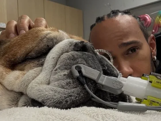 Hamilton llora la despedida de su Roscoe, su compañero de la F1