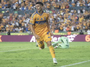 Juan Brunetta de Tigres festeja una anotación. Imagen de archivo. EFE/Miguel Sierra