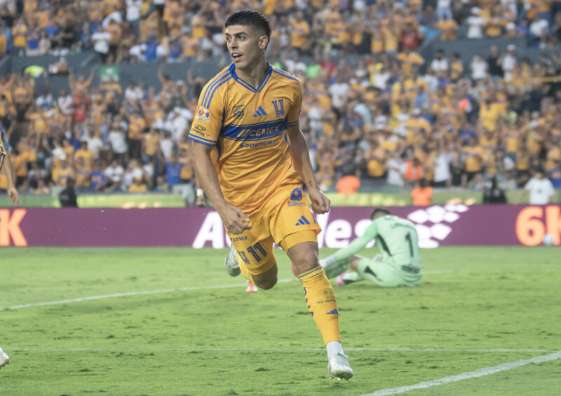 Juan Brunetta de Tigres festeja una anotación. Imagen de archivo. EFE/Miguel Sierra