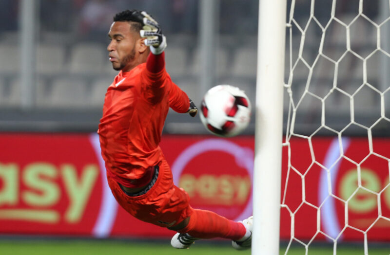 El peruano Pedro Gallese se despide del Orlando City tras 6 temporadas Fotografía de archivo del guardameta peruano Pedro Gallese en plena acción, y quien a los 35 años ha puesto fin a su vínculo con Orlando City al término de 2025. EFE/Ernesto Arias.