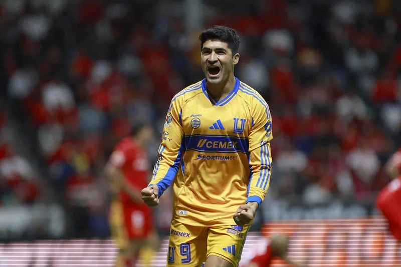 Nico Ibañez, exdelantero de Tigres