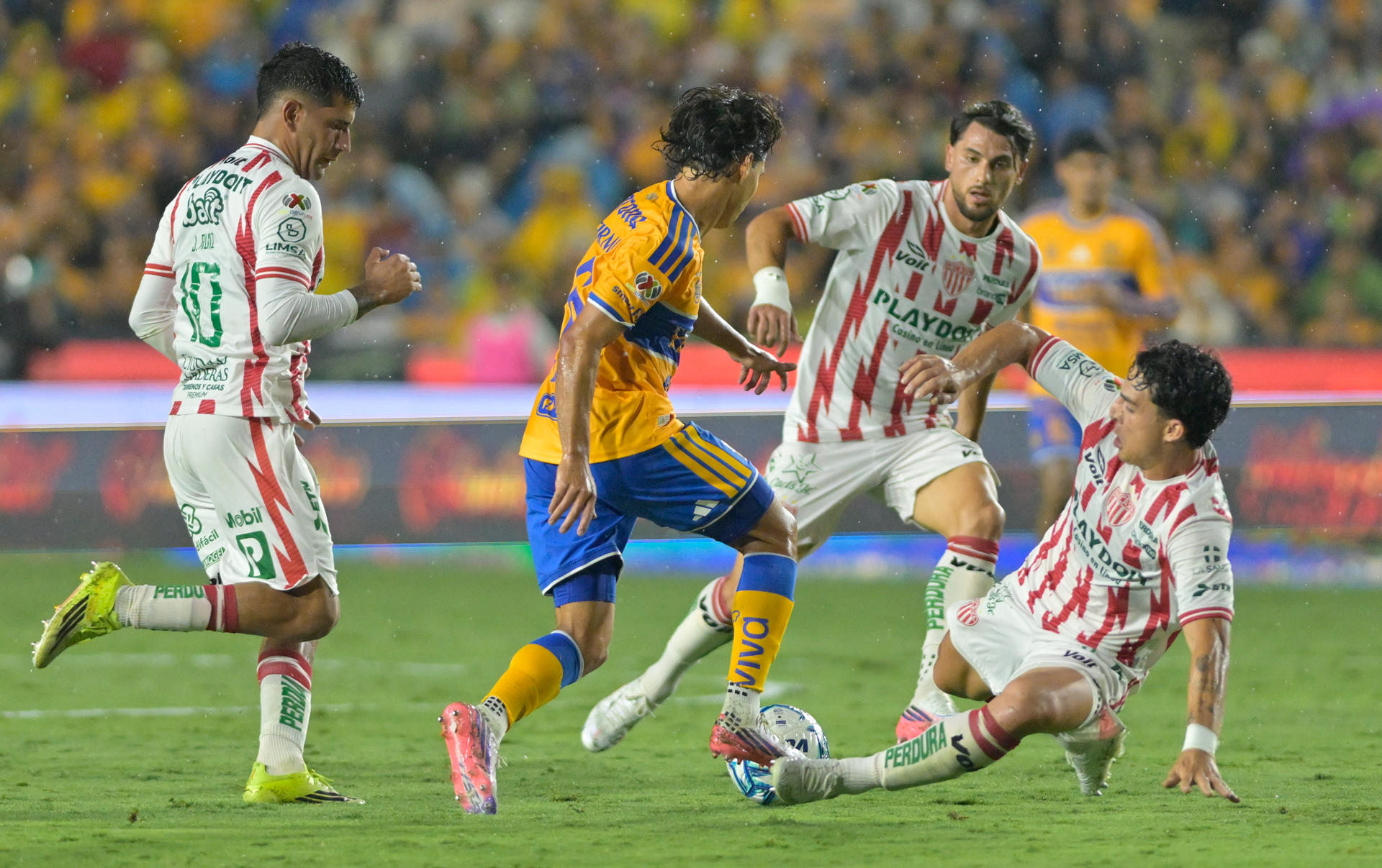 Diego lainez (c), de Tigres, disputa el balón con Lorenzo Faravelli (d), de Necaxa, este sábado durante un partido de la Liga MX. EFE/Miguel Sierra